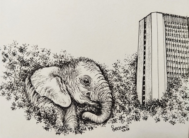 Article related image