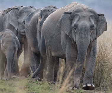 Article related image