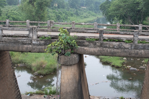 Article related image