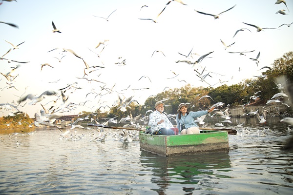 Article related image
