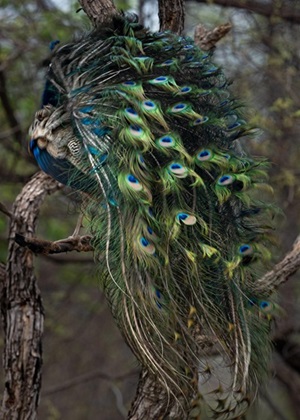 Article related image