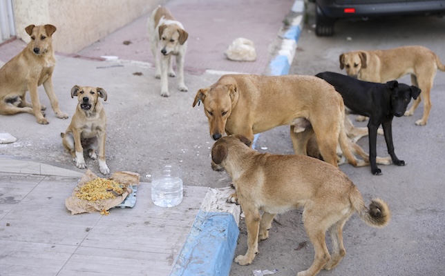 Article related image