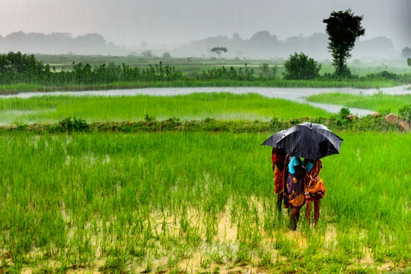 Article related image