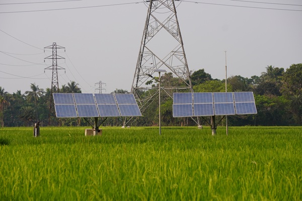 ESG article related image