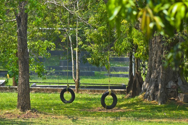 Article related image