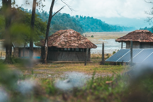 ESG article related image