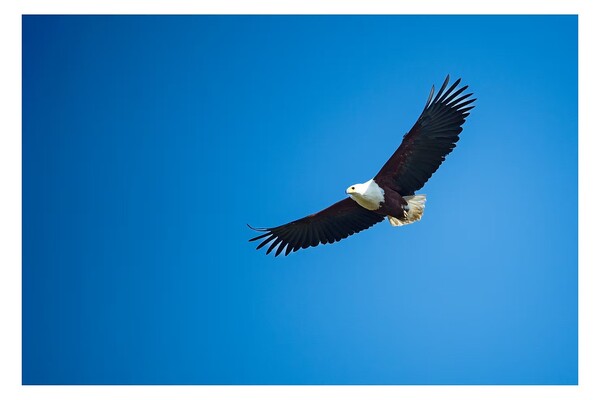 Article related image