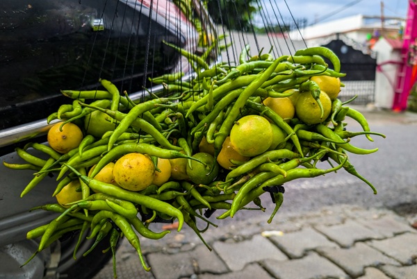 ESG article related image