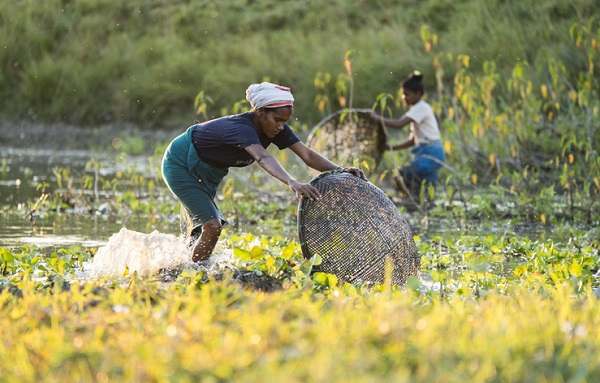 ESG article related image