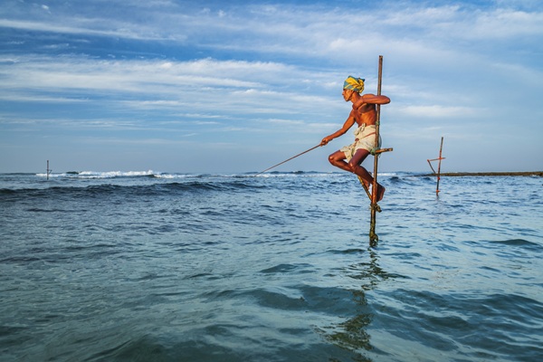 ESG article related image