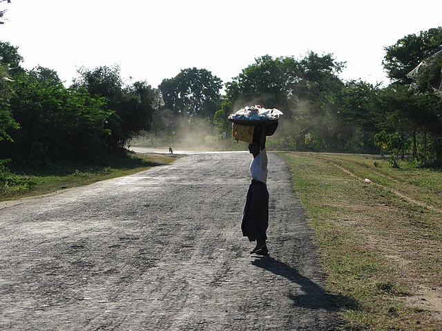 ESG article related image