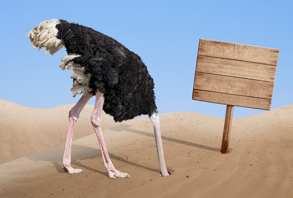 ESG article related image