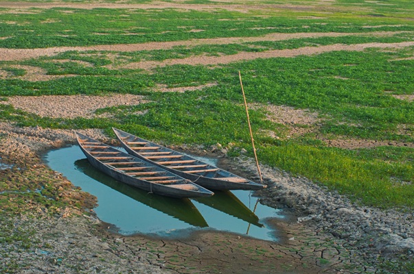 ESG article related image