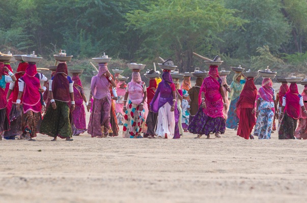 ESG article related image