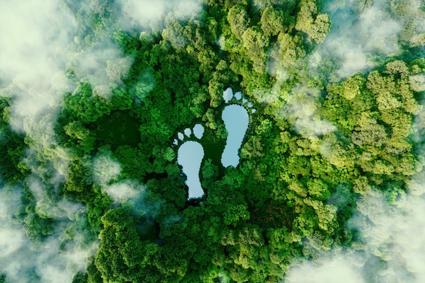 ESG article related image