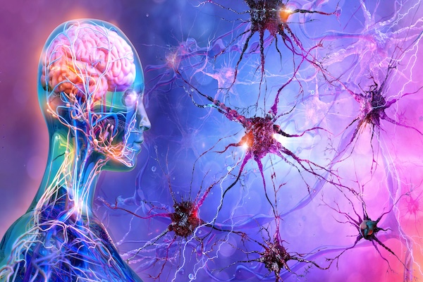 Neurotechnology and Cognitive Warfare